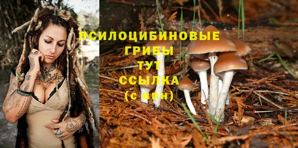 винт Богородск