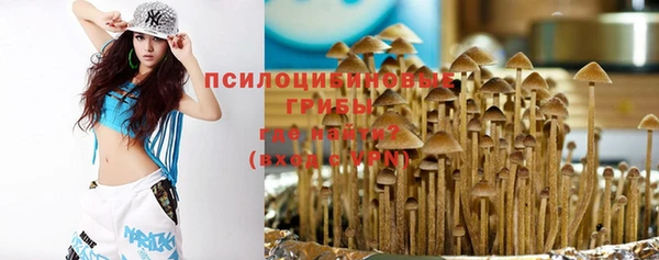 ALPHA PVP Богданович