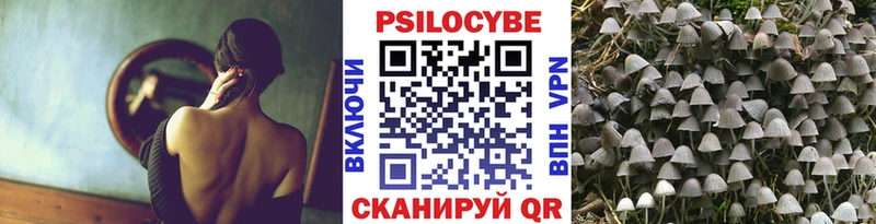 Псилоцибиновые грибы MAGIC MUSHROOMS Константиновск