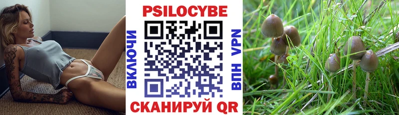 МЕГА зеркало  Константиновск  Псилоцибиновые грибы MAGIC MUSHROOMS  наркошоп 